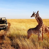 Танзания и сафари | Сафари  по национальным паркам Танзании | Купить тур по лучшей цене