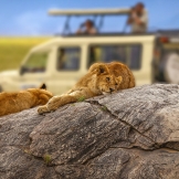 Танзания и сафари | Сафари  по национальным паркам Танзании | Купить тур по лучшей цене