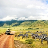 Сафари  по Национальным паркам Танзании + отдых на о. Занзибар